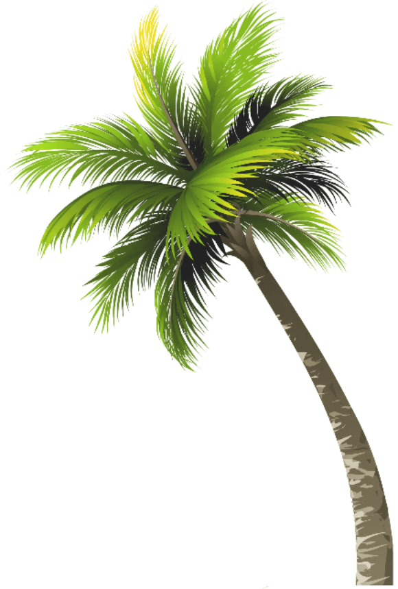header palm